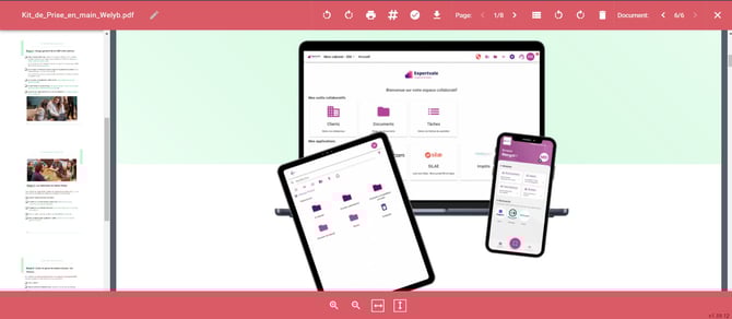 Capture visionneuse pdf