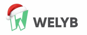 logo welyb noel